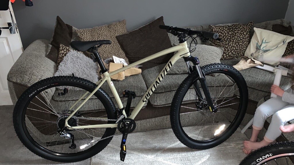 specialized rockhopper comp 2019